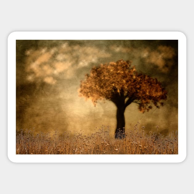 Lone Tree In Autumn Sticker by JimDeFazioPhotography